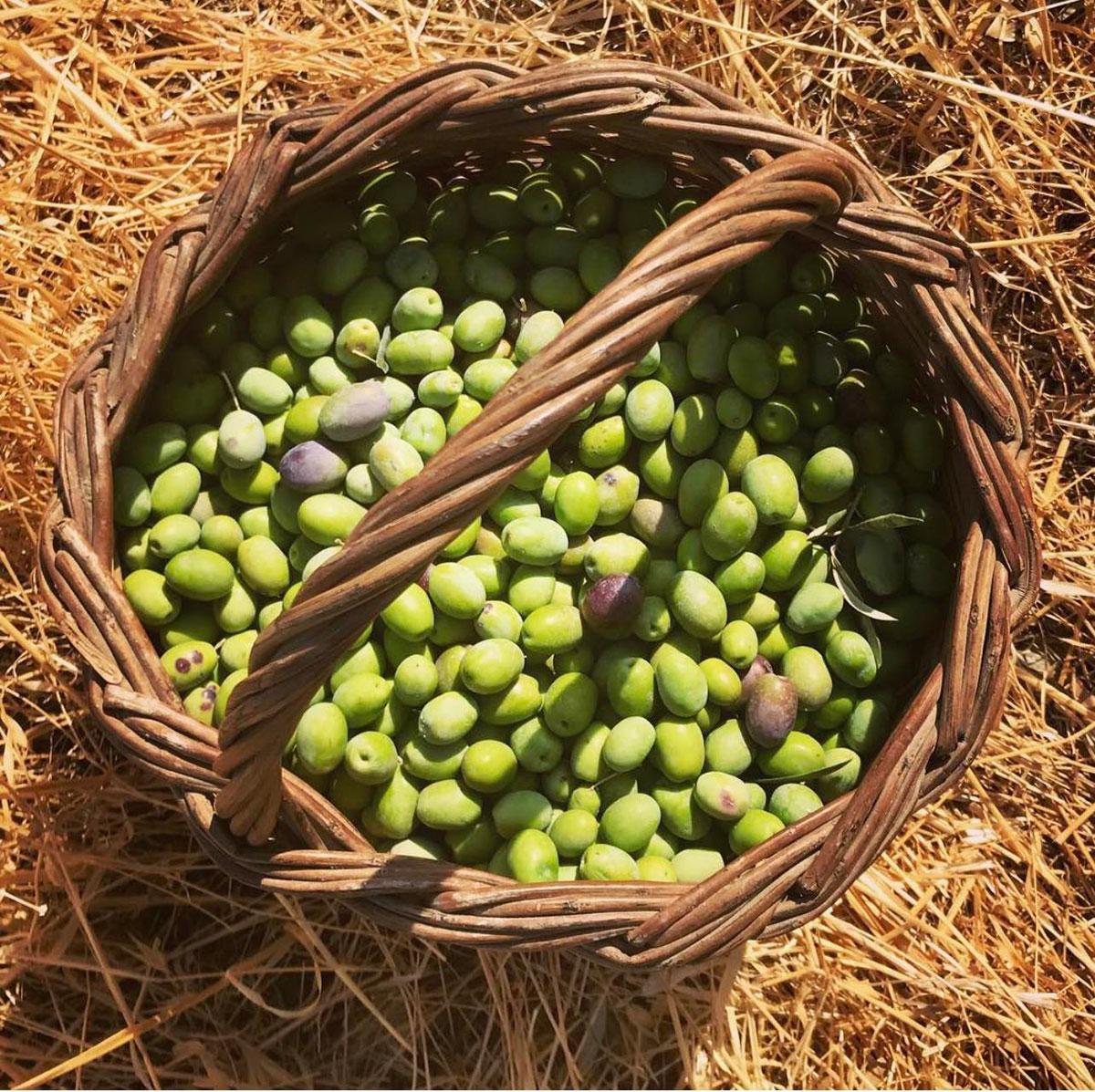 Produits traditionnels de Sifnos, To Stavri