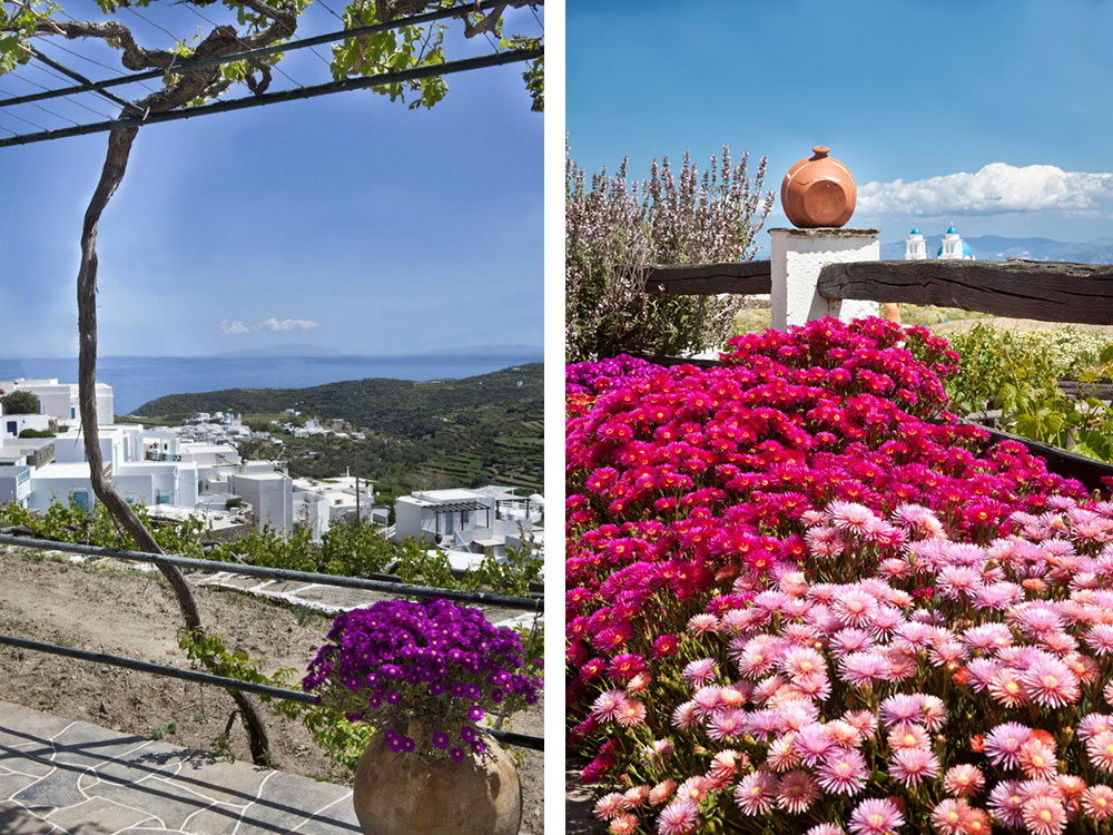 Sifnos View, Pano Petali - Sifnos